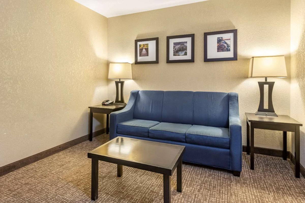 Photo - Comfort Inn & Suites Allen Park/Dearborn