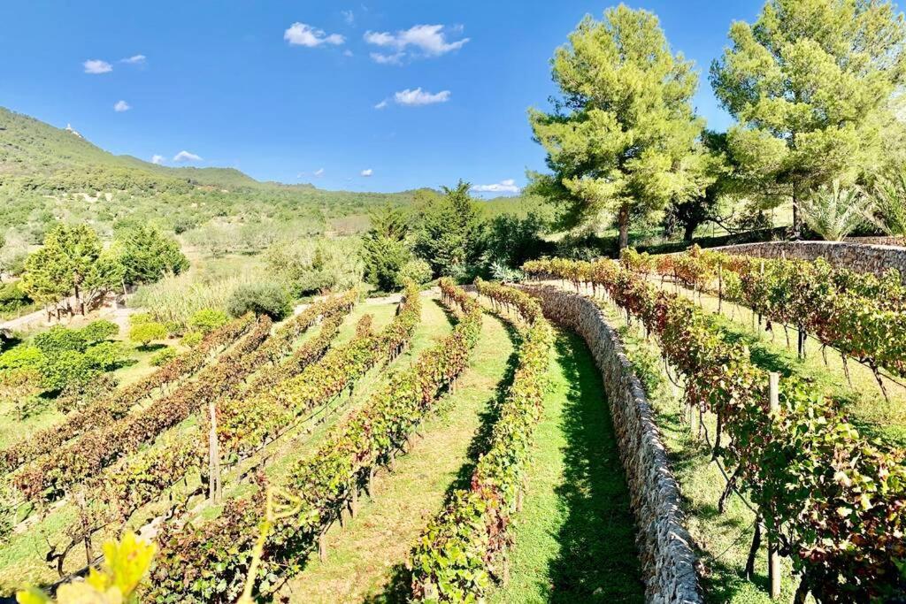 Photo - Es Castell de Ca n'Alou de Ses Cases Noves