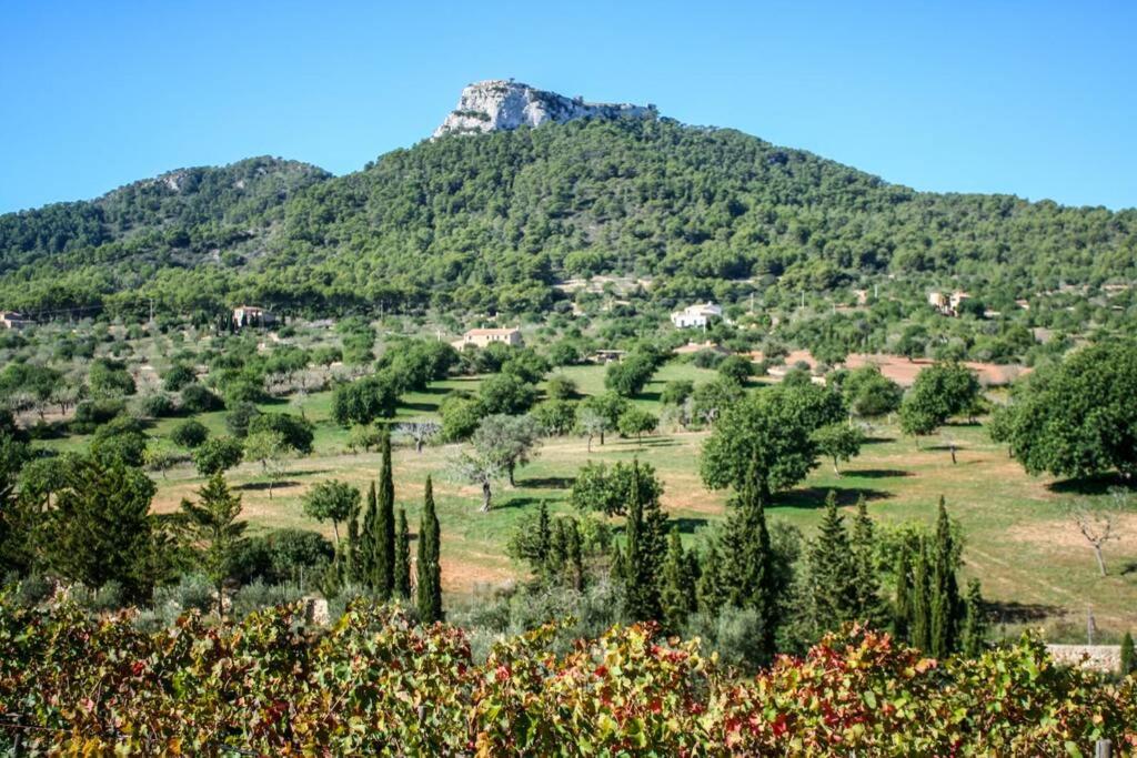 Foto - Es Castell de Ca n'Alou de Ses Cases Noves