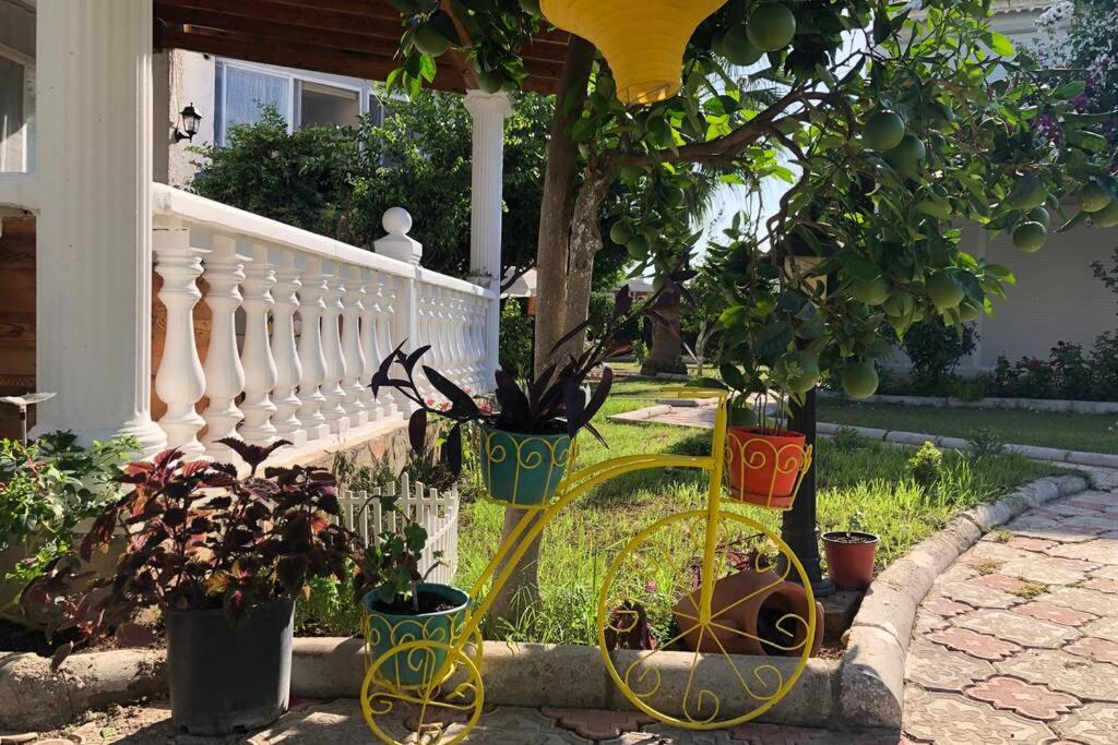 Foto - Pool Villa within a 5min distance to Camyuva beach