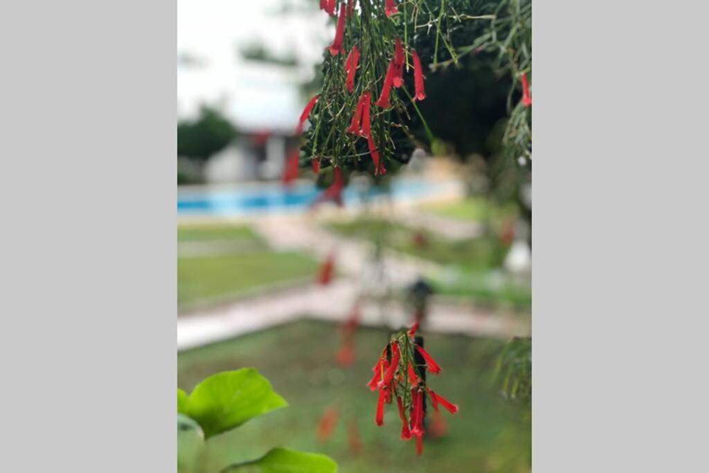 Foto - Pool Villa within a 5min distance to Camyuva beach