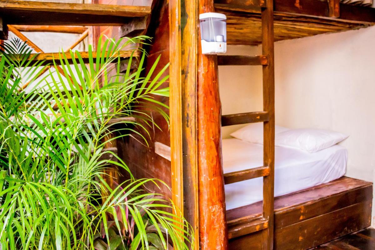 Photo - oOstel Smart Hostel - Tulum Playa