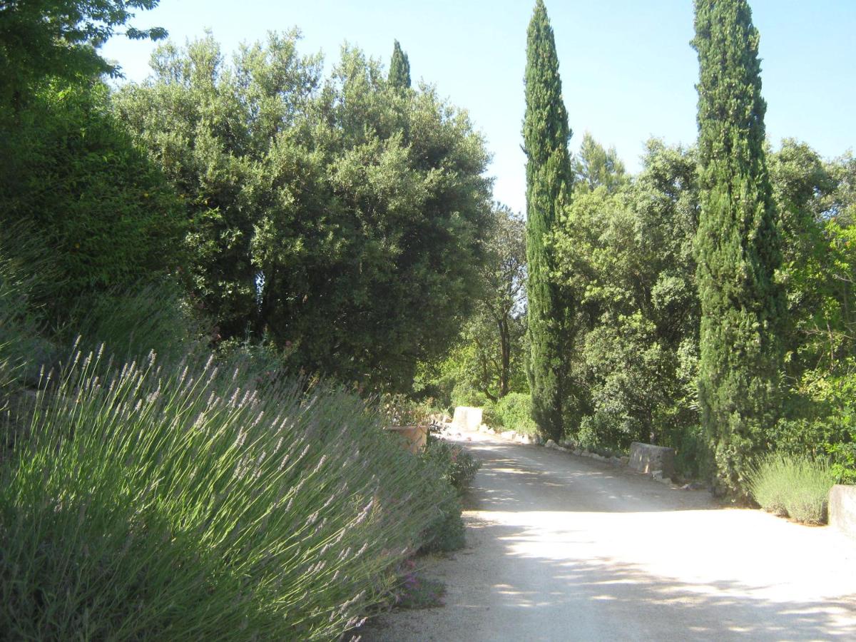 Photo - Les Garrigues de la Vallée des Baux