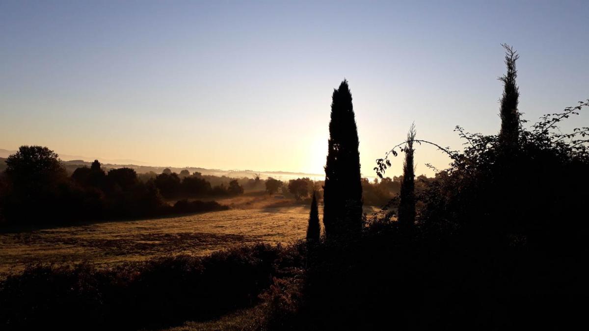 Photo - Podere Pievina Delle Corti - Dimora di Campagna