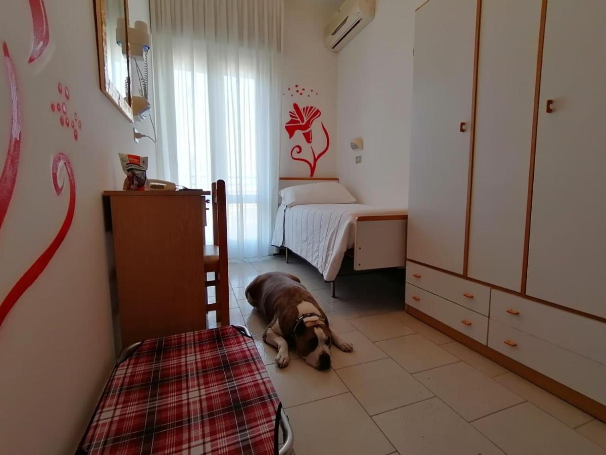 Photo - Kristalex Pet Family Hotel