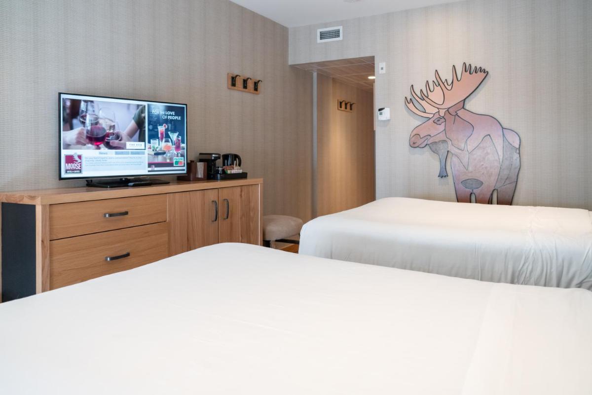 Foto - Moose Hotel and Suites