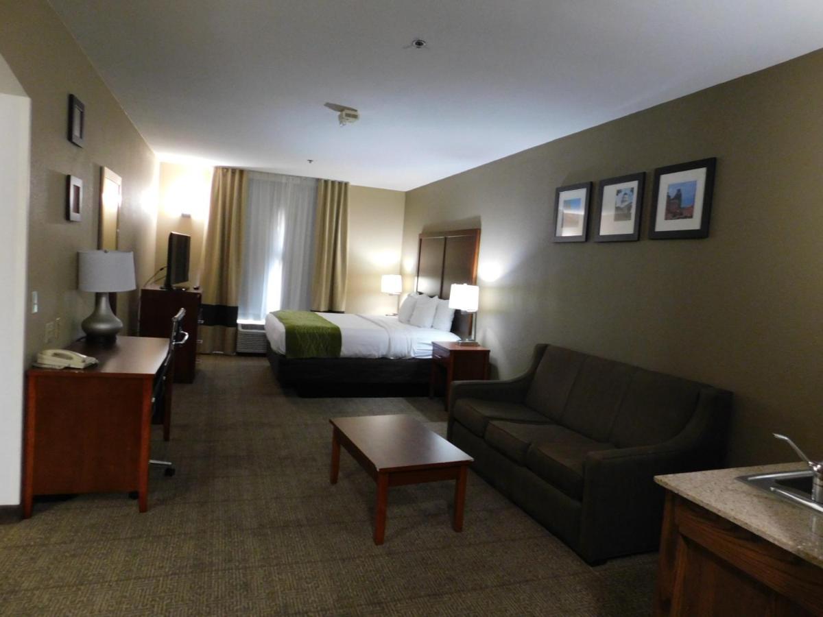 Photo - Comfort Inn & Suites Sacramento – University Area