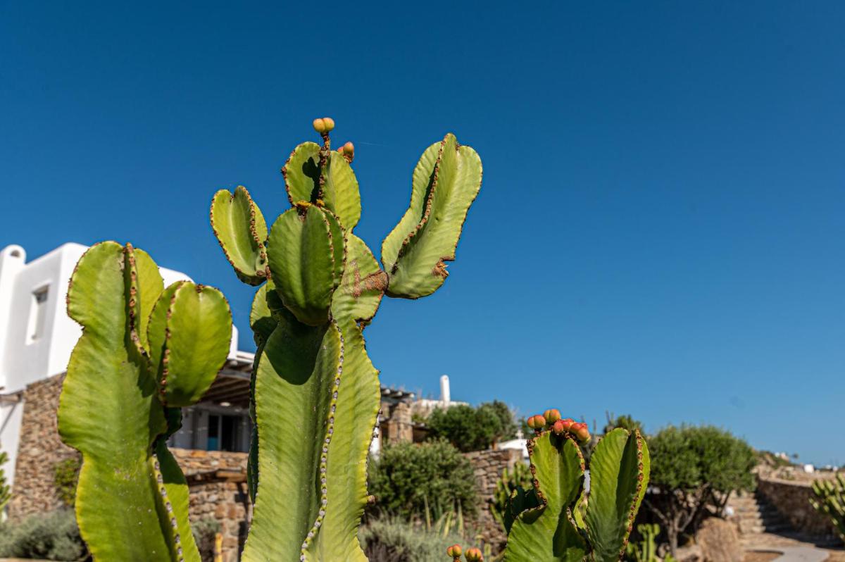 Photo - DreamLike Villas Mykonos