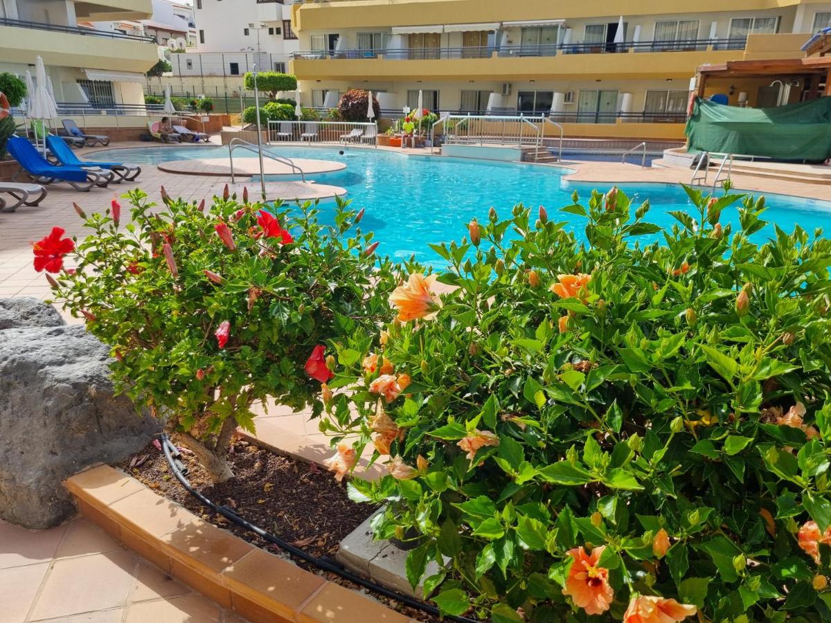 Photo - Ocean View Apartment, Costa Adeje,Tenerife