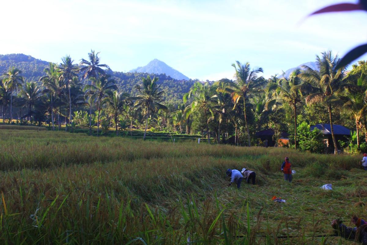 Foto - Amartya Puri Green Cottages