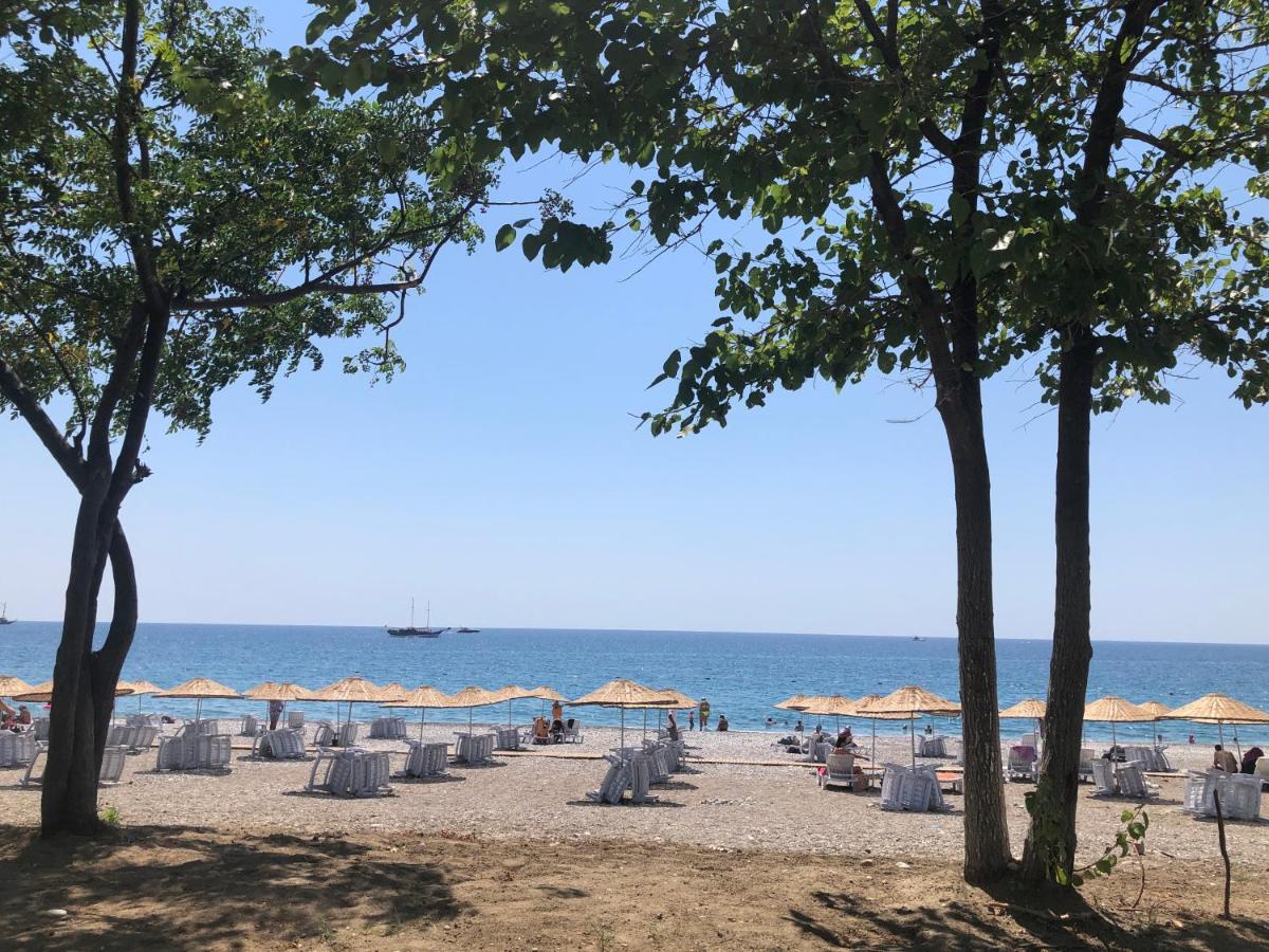 Foto - Pool Villa within a 5min distance to Camyuva beach