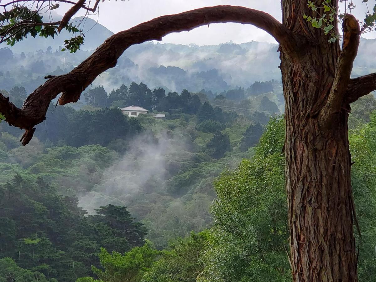 Foto - Finca Paraiso Mountain Retreat near San Jose Airport