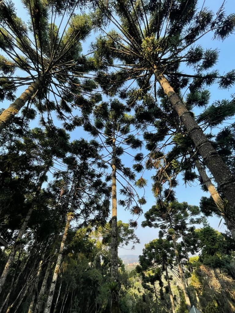 Photo - Casa de Campos Guest House