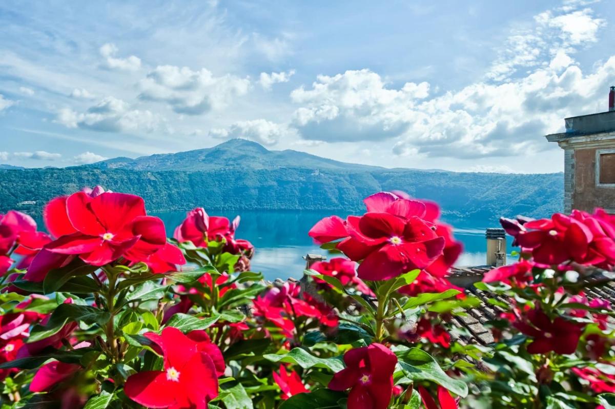 Photo - Atlantis Inn Castelgandolfo