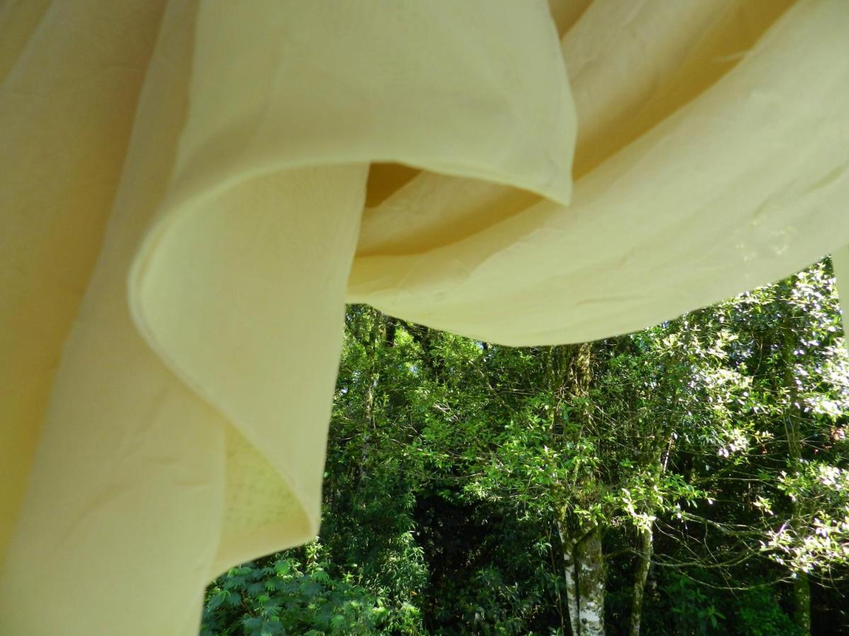 Foto - Pousada Jardim Azul