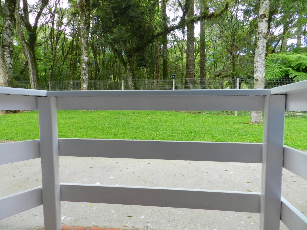 Foto - Pousada Jardim Azul