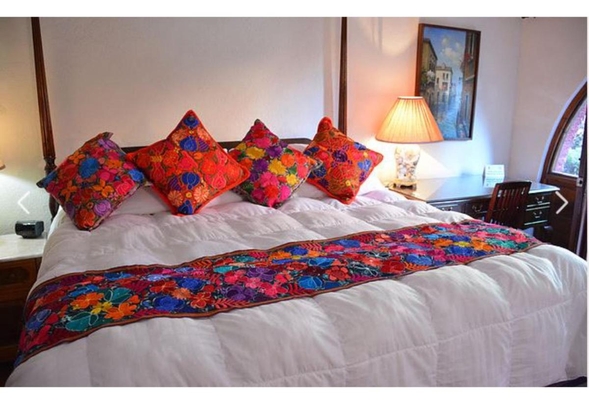 Photo - Collection O Casa Bella Hotel Boutique, Cabo San Lucas