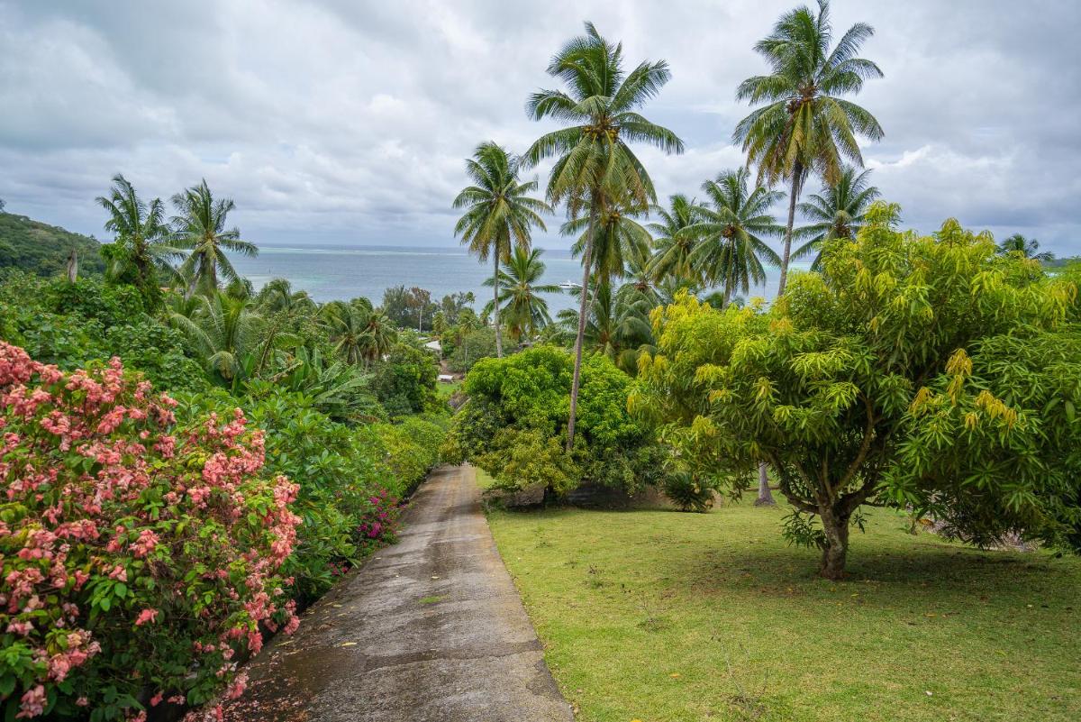 Foto - Bora Bora Holiday's Lodge and Villa