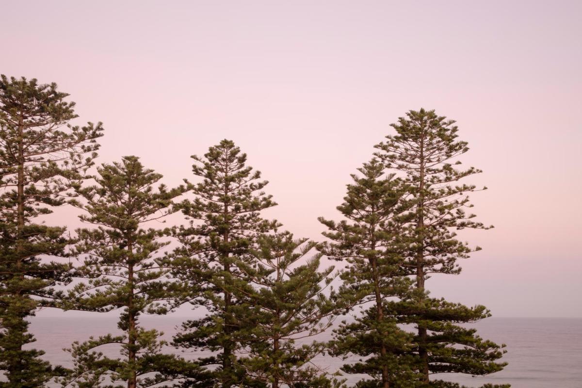 Foto - Manly Pacific Sydney MGallery Collection