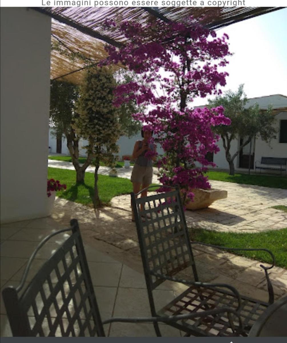 Foto - Room in BB - Spacious double room in ancient Masseria near the sea in a quiet olive trees