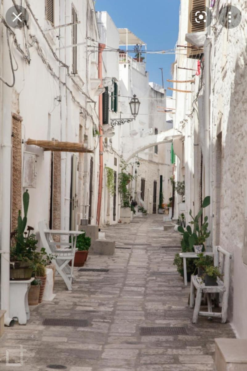 Foto - Room in BB - Spacious double room in ancient Masseria near the sea in a quiet olive trees