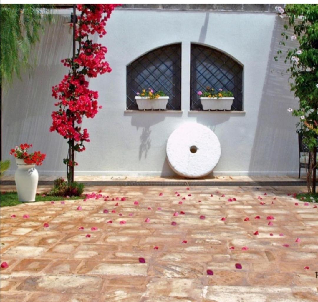 Foto - Room in BB - Spacious double room in ancient Masseria near the sea in a quiet olive trees