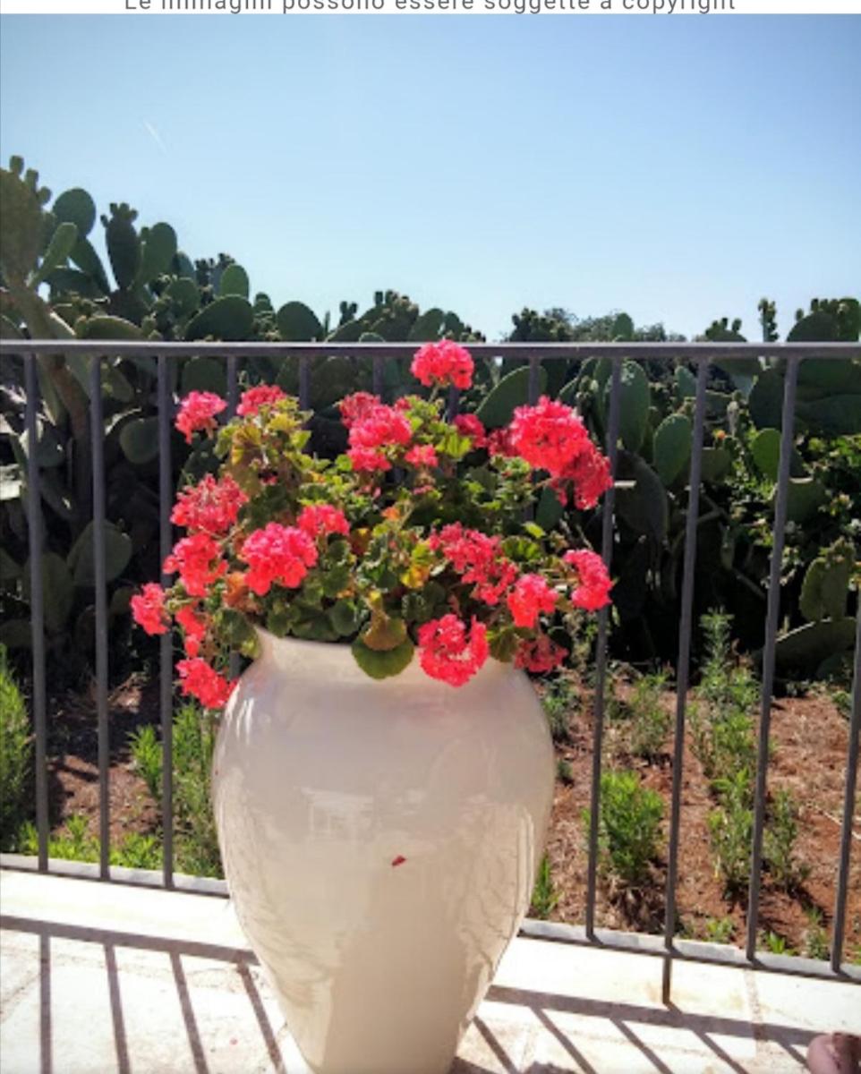 Foto - Room in BB - Spacious double room in ancient Masseria near the sea in a quiet olive trees