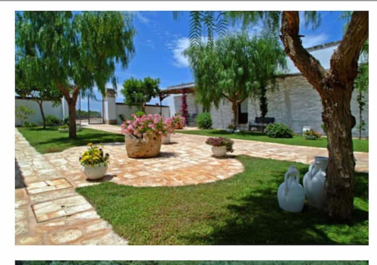 Foto - Room in BB - Spacious double room in ancient Masseria near the sea in a quiet olive trees