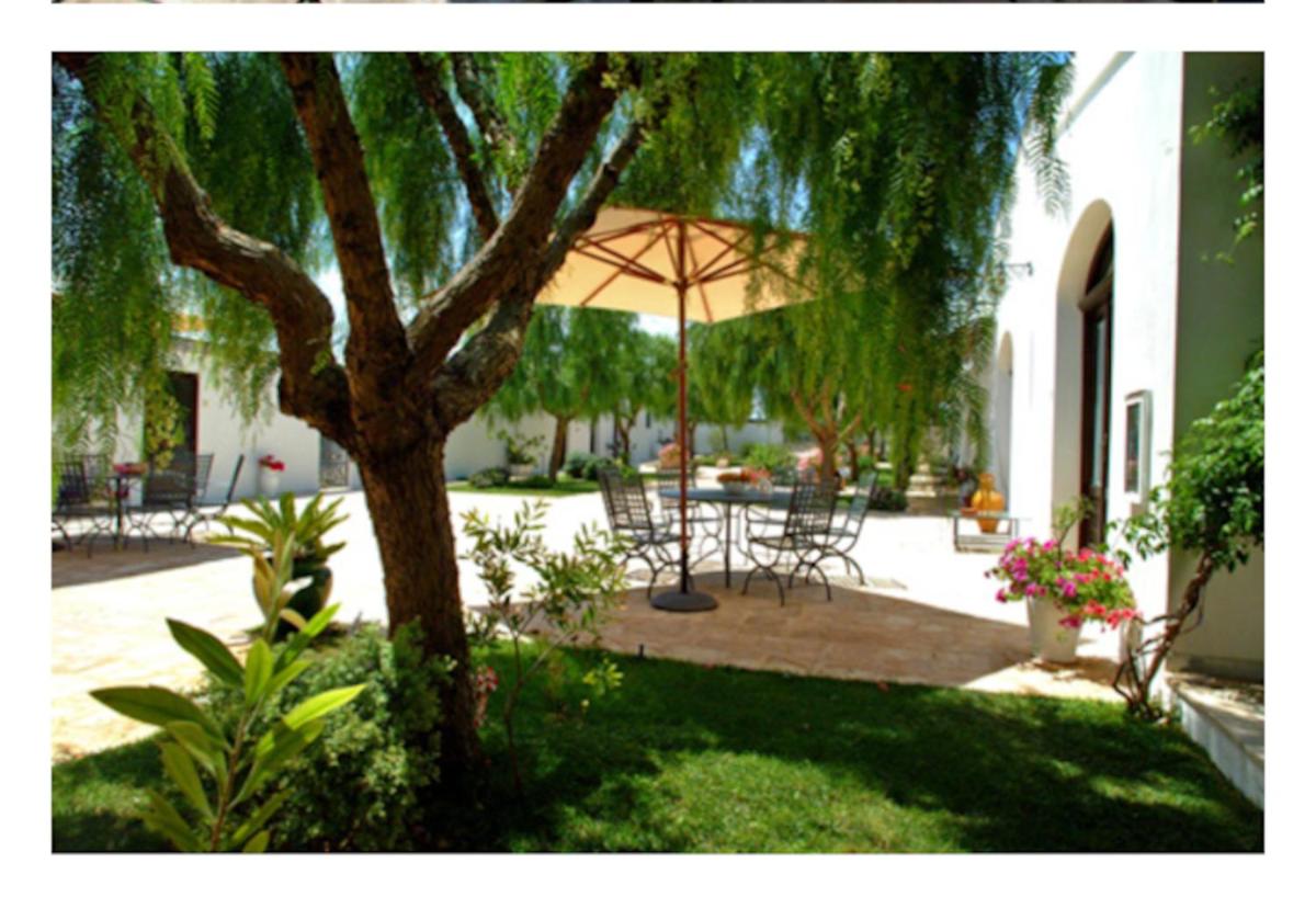 Foto - Room in BB - Spacious double room in ancient Masseria near the sea in a quiet olive trees