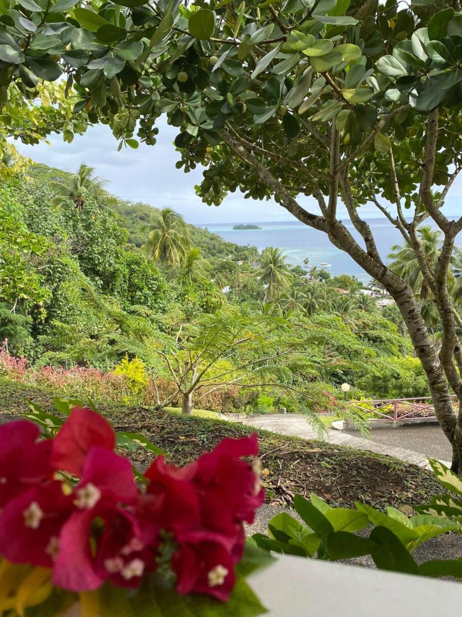 Photo - Bora Bora Holiday's Lodge and Villa