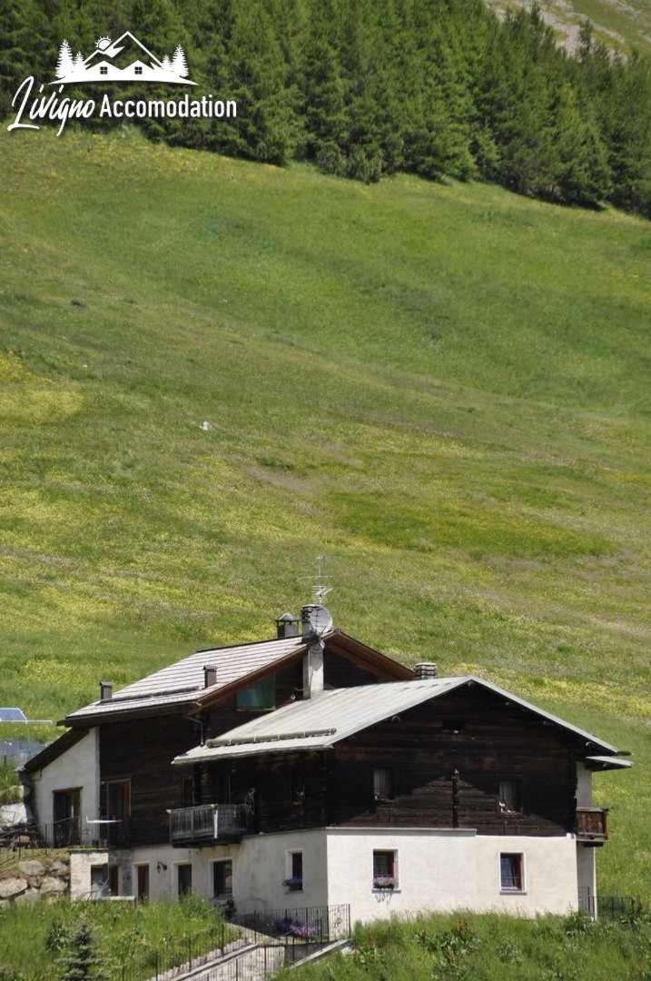 Foto - Appartamenti Green esclusivo riservato soleggiato