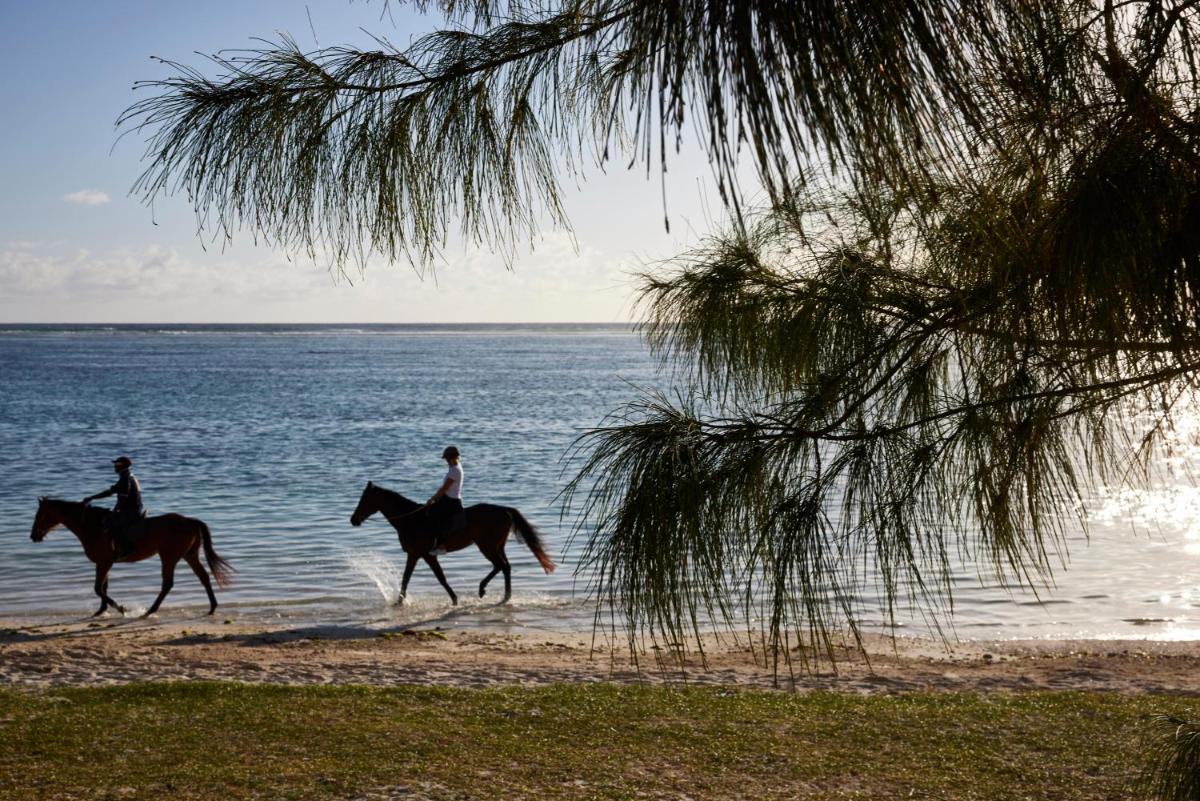 C Mauritius photo 6