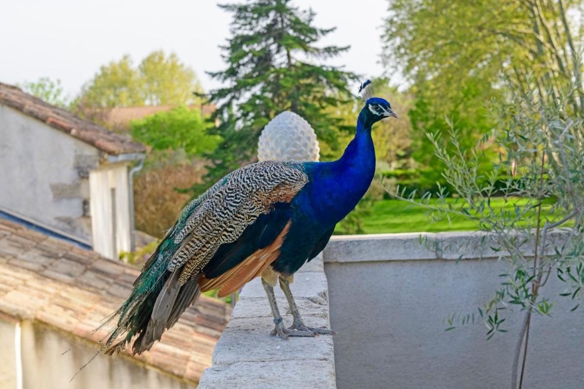 Foto - Bastide de Bellegarde