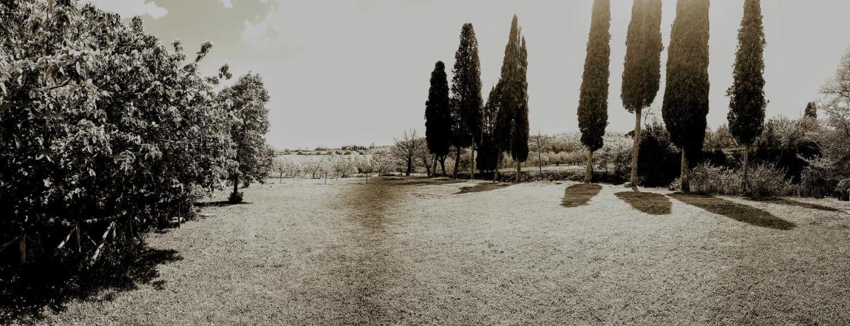 Photo - Podere Pievina Delle Corti - Dimora di Campagna