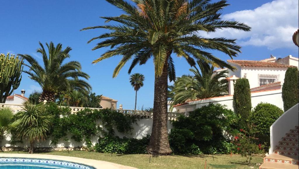 Foto - Les Maisons Bleues Denia