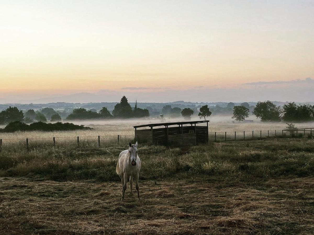 Foto - Podere Pievina Delle Corti - Dimora di Campagna