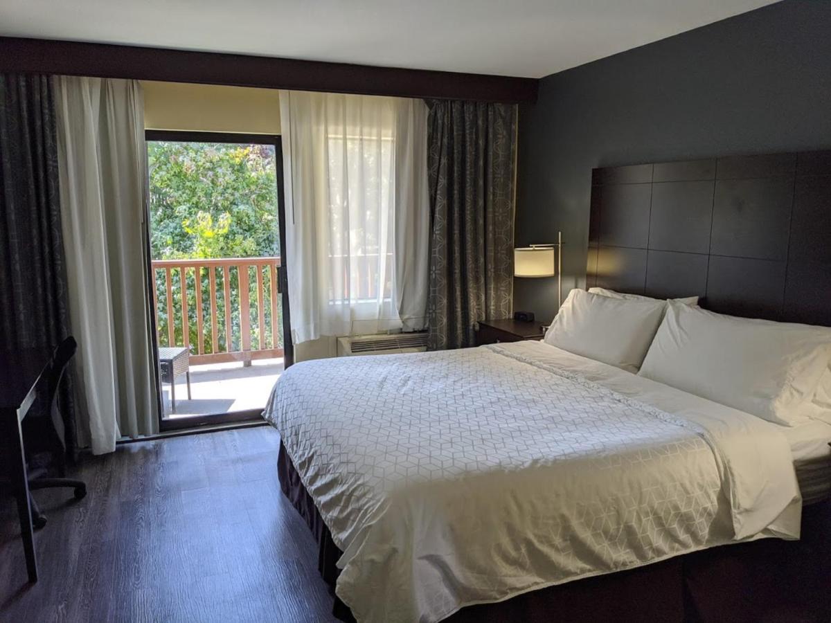 Photo - Holiday Inn Express Hotel & Suites Solana Beach-Del Mar, an IHG Hotel