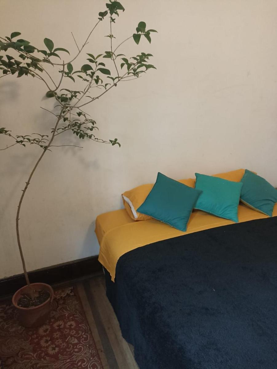 Foto - Casona Yungay