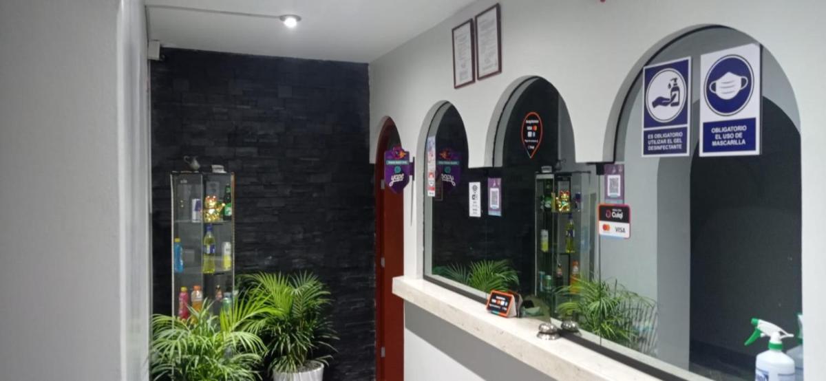 Foto - Huaca Palmeras