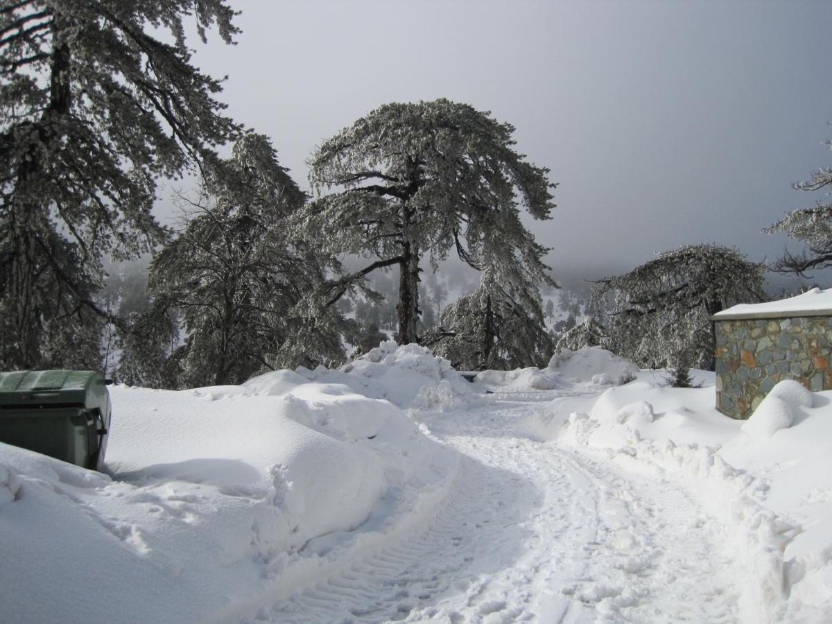 Foto - Hesperides Gardens Villa