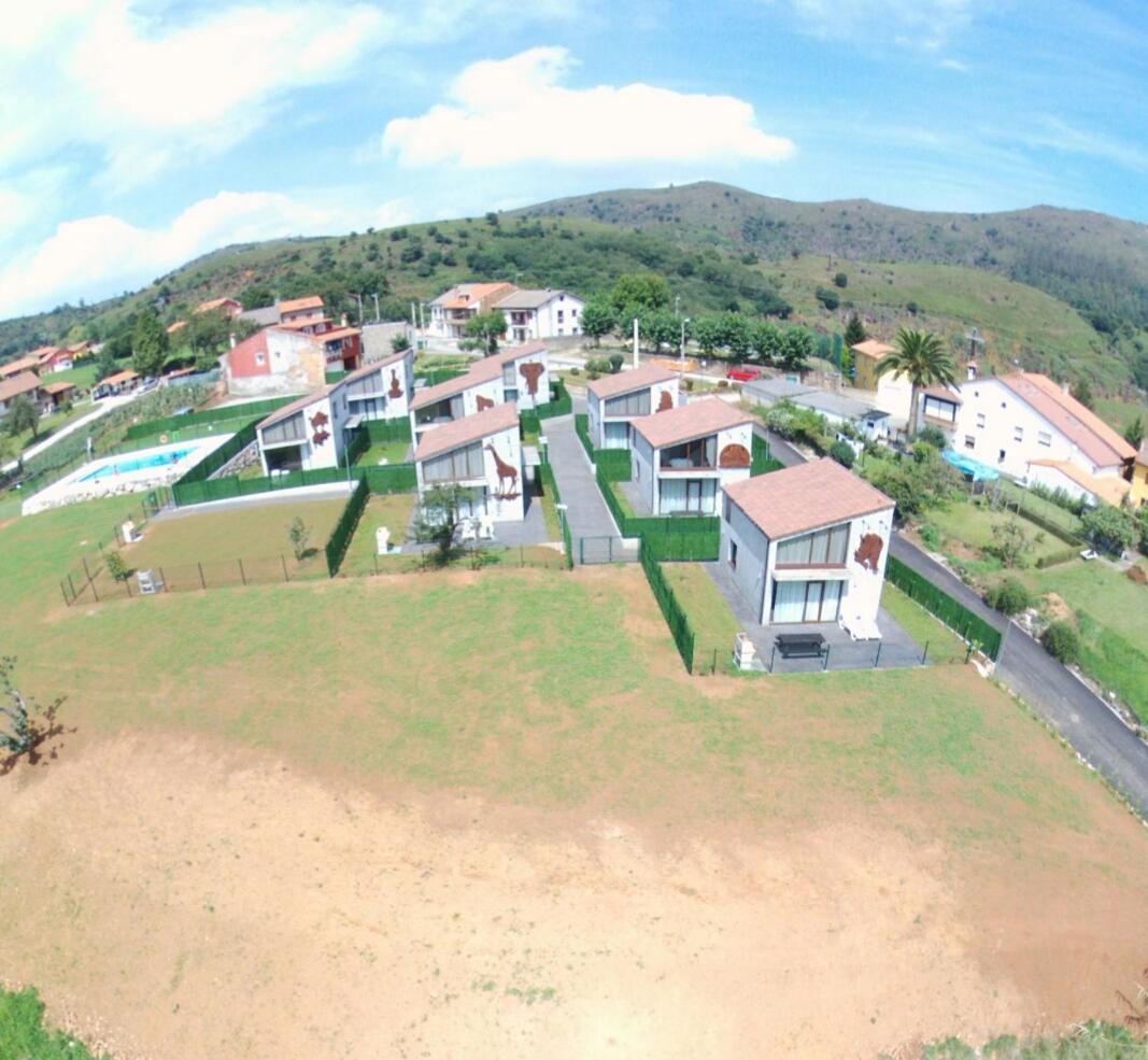 Photo - La senda de los elefantes