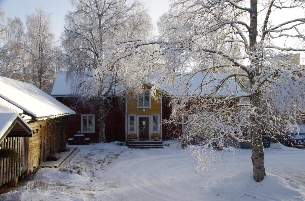 Foto - LAURI Historical Log House Manor