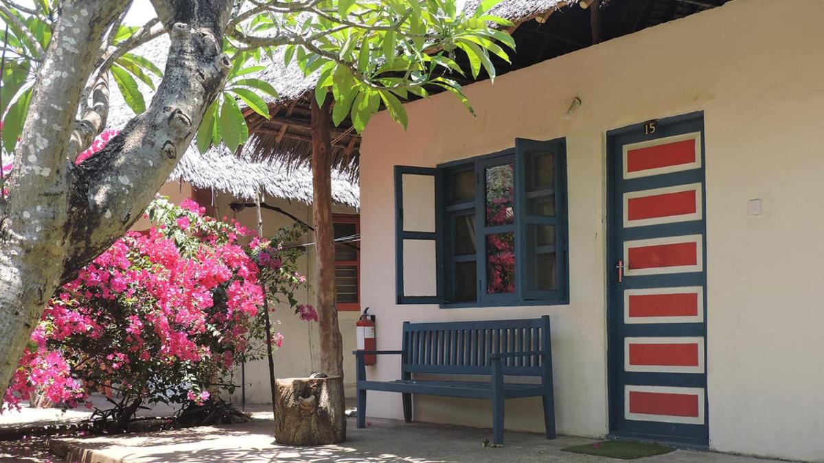 Foto - Paje by Night