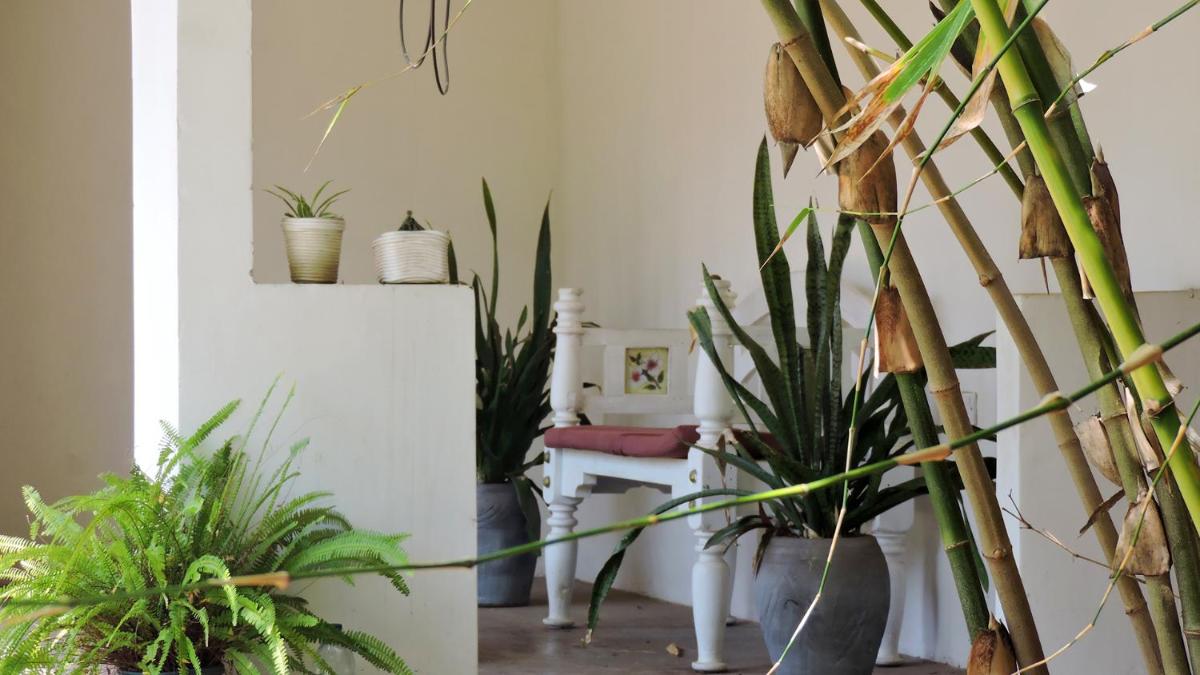 Foto - Paje by Night