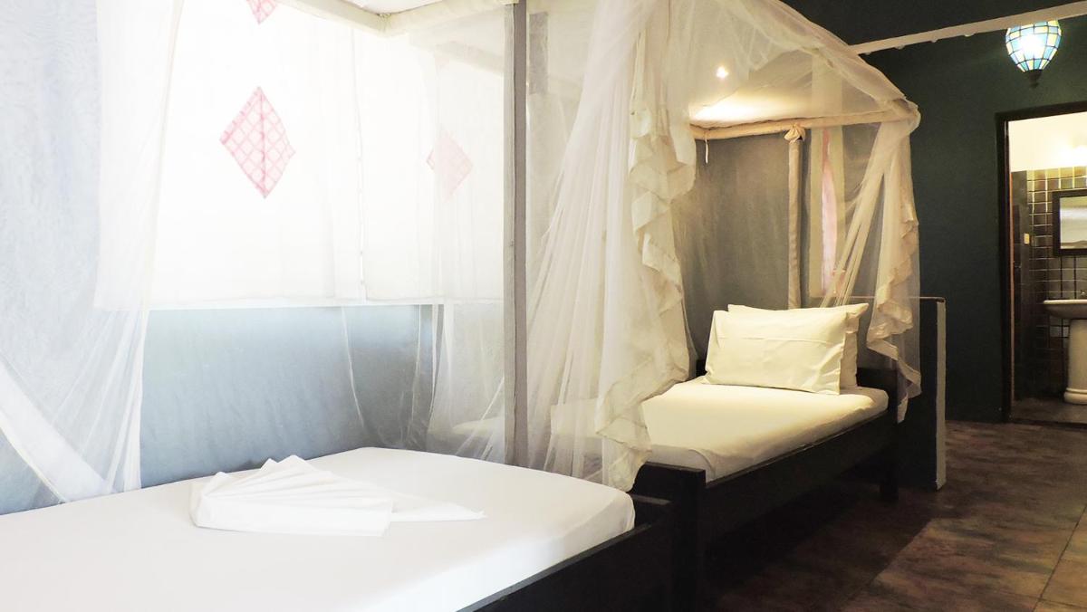 Foto - Paje by Night