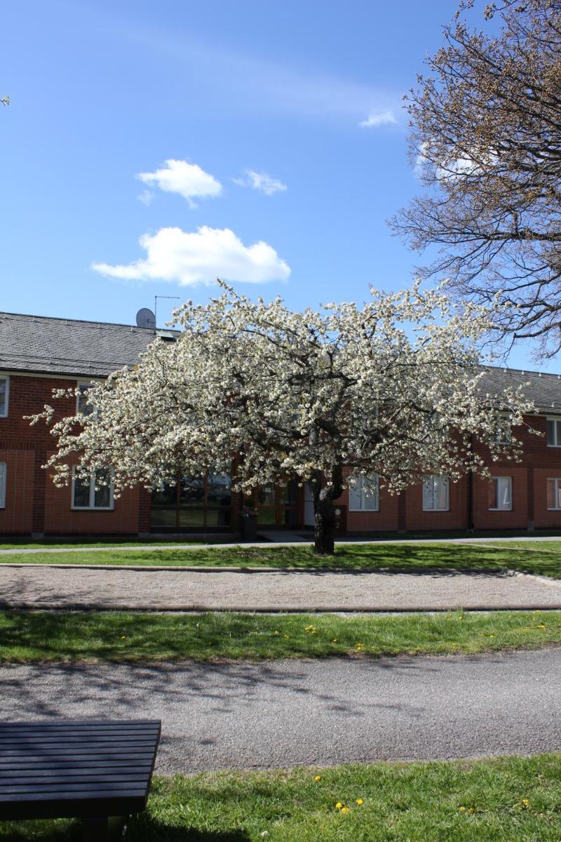 Foto - Vår Gård Saltsjöbaden