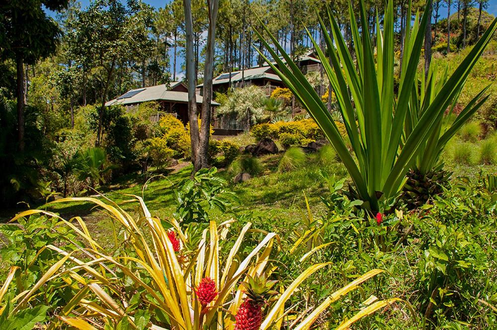 Photo - Lakaz Chamarel Exclusive Lodge