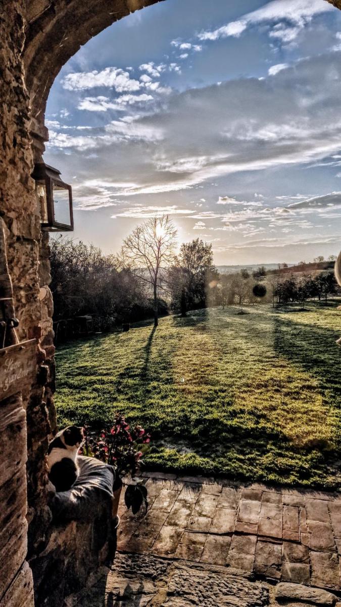 Foto - Podere Pievina Delle Corti - Dimora di Campagna