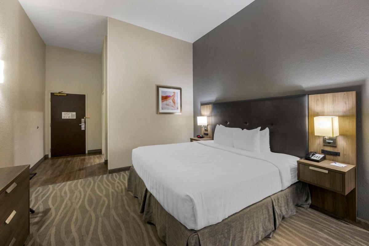 Foto - Best Western Plus Nashville Airport Hotel - BNA