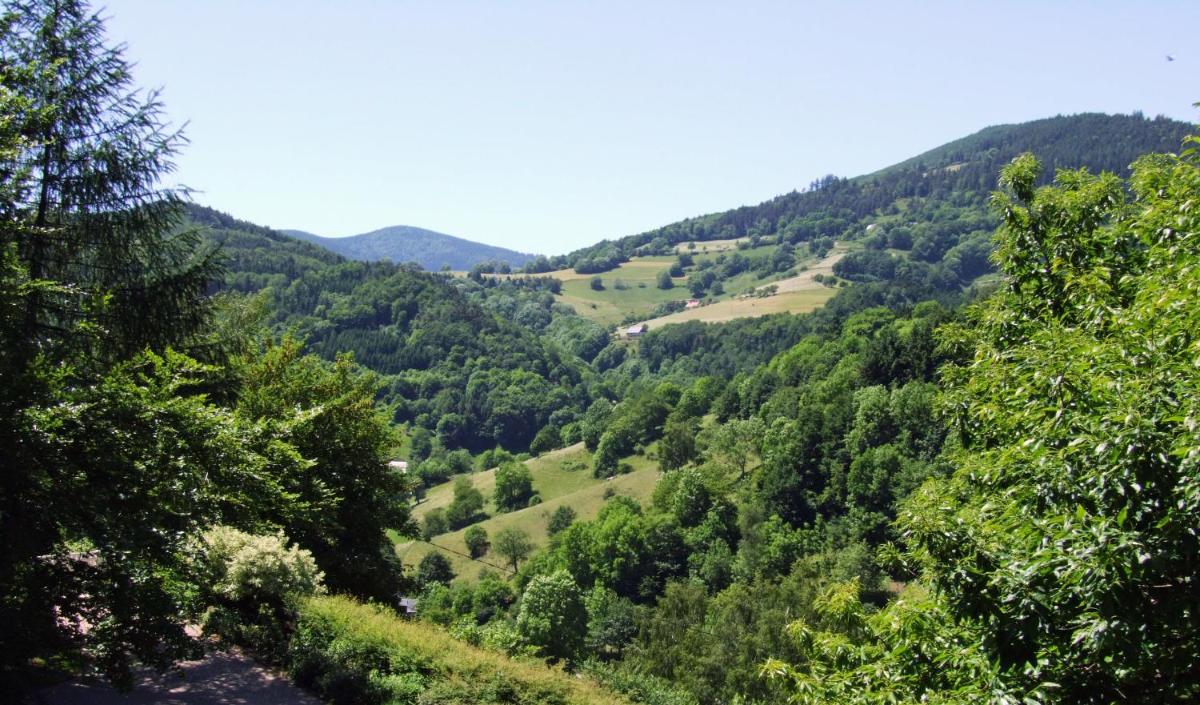 Photo - La Haute Grange Gîtes de Charme en Alsace